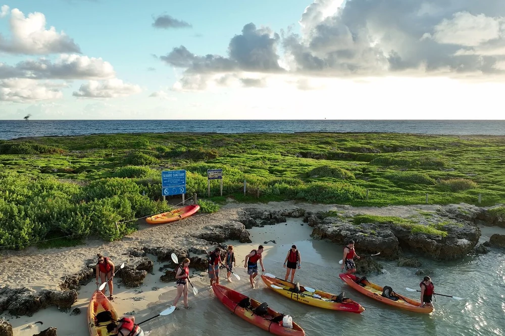 Flat Island Guided Kayak & Snorkel