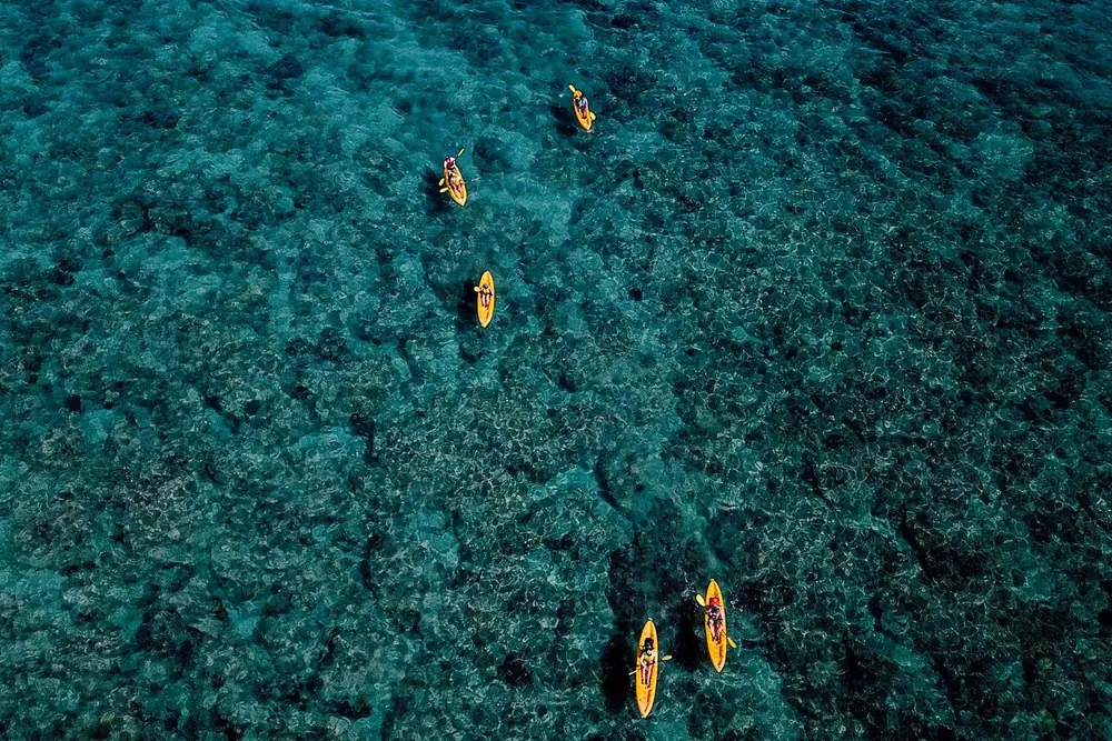 Aerial view of yellow kayaks spread out over dark reef in deep green water