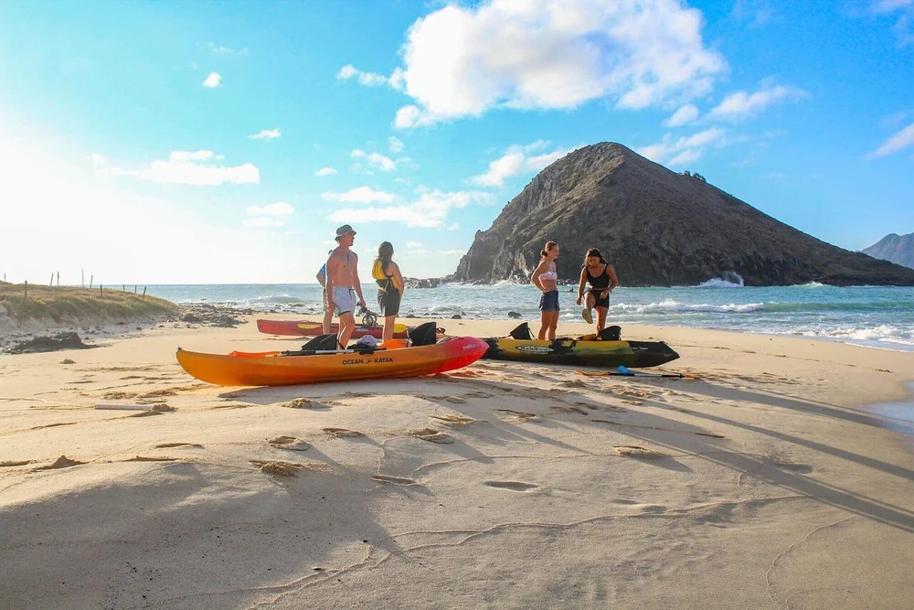 Kayakers standing beside their kayaks on a sandy beach below a steep dark islet