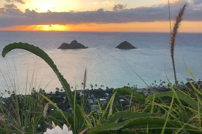 The two Mokulua islets offshore at first light, seen from a grassy ridge above the town of Lanikai